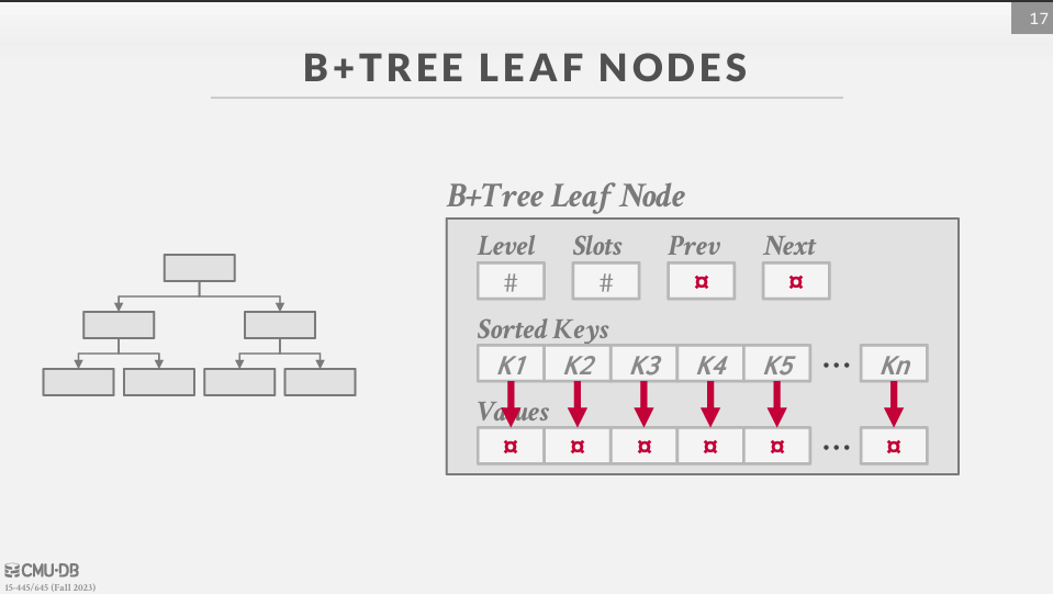 B+ Tree